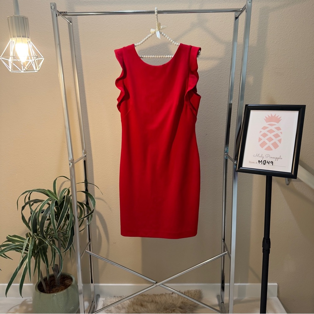Calvin Klein size L little red dress.